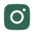 Social media icon
